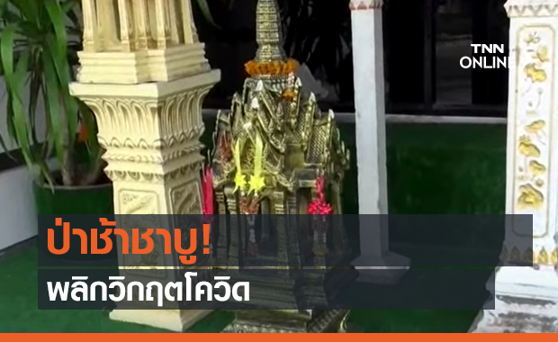 ป่าช้าชาบู! พลิกวิกฤตโควิด (คลิป)