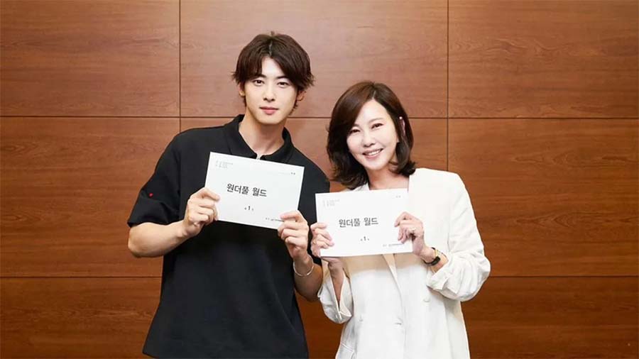 รีวิว Wonderful World ซีรีส์ดราม่าแนวล้างแค้นสุดเข้มข้น รีวิว Wonderful World ซีรีส์ดราม่าแนวล้างแค้นสุดเข้มข้น