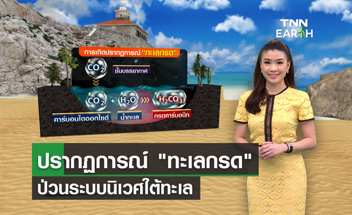 ปรากฏการณ์ “ทะเลกรด” ป่วนระบบนิเวศใต้ทะเล