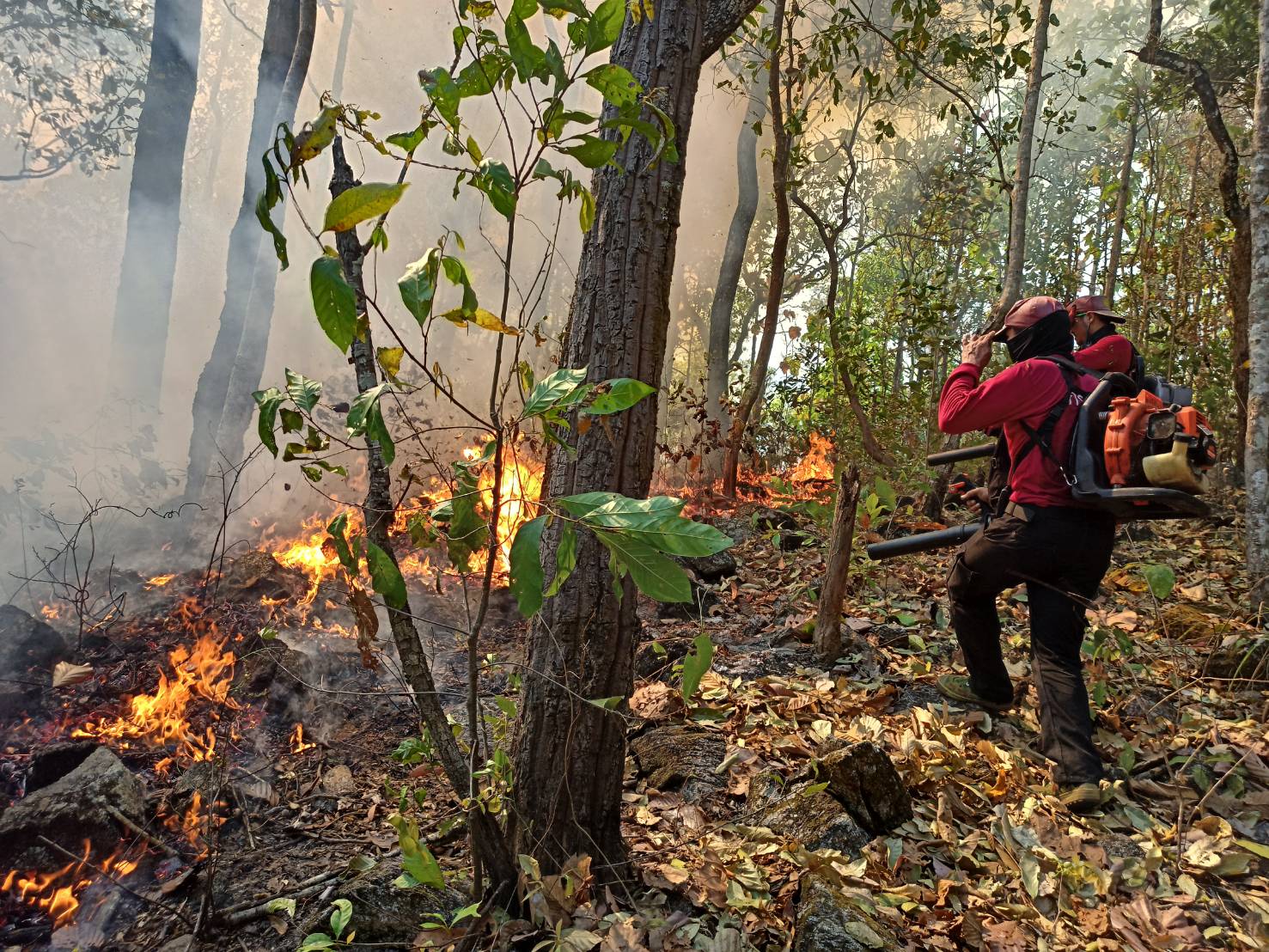 สั่งตรวจ ไฟป่า นำ โดรน DE นำเทคโนโลยี ช่วยตรวจไฟป่า สั่งตรวจ ไฟป่า นำ โดรน DE นำเทคโนโลยี ช่วยตรวจไฟป่า