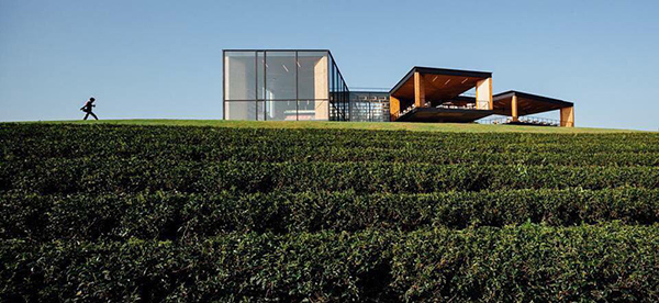 15 ที่เที่ยวเชียงราย 2565 แอ่วเมืองเหนือ สุดเขตแดนสยาม 15 ที่เที่ยวเชียงราย 2565 แอ่วเมืองเหนือ สุดเขตแดนสยาม