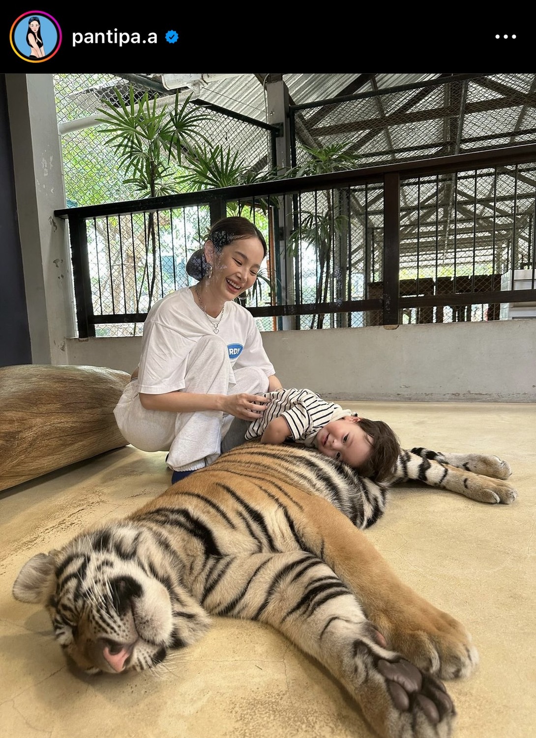  ปุ้มปุ้ย อวดโมเมนต์สุดน่ารัก น้องไซอัลบลู ทำพีคจัด เจอเสือครั้งแรก! 