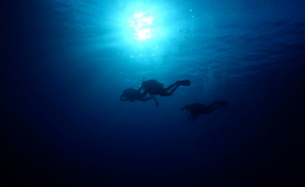 TNN Exclusive : บทเรียน “ไททัน” ความเสี่ยงใต้ท้องทะเลลึก TNN Exclusive : บทเรียน “ไททัน” ความเสี่ยงใต้ท้องทะเลลึก