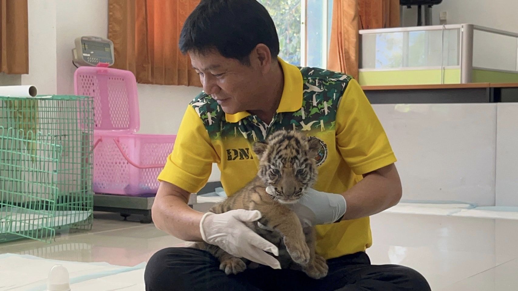 ลูกเสือของกลาง 4 ตัวได้ชื่อแล้ว-พร้อมเผยที่มาสุดลึกซึ้ง 