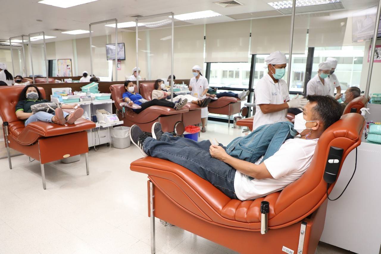 วันผู้บริจาคสเต็มเซลล์โลก สภากาชาดไทยชวนบริจาคสเต็มเซลล์ รักษาผู้ป่วยโรคเลือด วันผู้บริจาคสเต็มเซลล์โลก สภากาชาดไทยชวนบริจาคสเต็มเซลล์ รักษาผู้ป่วยโรคเลือด