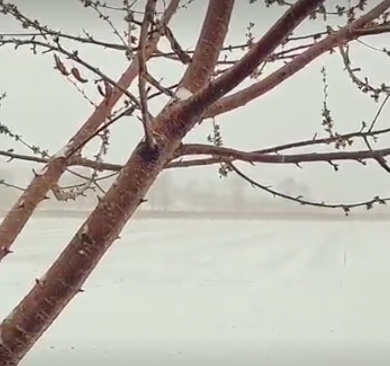 ปรับตัวไม่ทัน! อังกฤษเผชิญอากาศแปรปรวน ทั้งร้อนและหิมะตก ปรับตัวไม่ทัน! อังกฤษเผชิญอากาศแปรปรวน ทั้งร้อนและหิมะตก