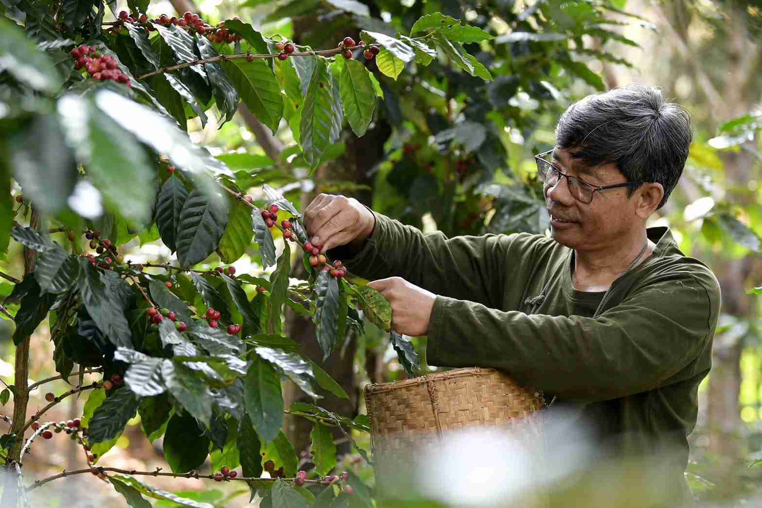 เครือซีพี เดินหน้าต่อเนื่องจับมือภาครัฐ ชูโมเดลคืนป่าต้นน้ำภาคเหนือ เข้าสู่ปีที่ 2 เครือซีพี เดินหน้าต่อเนื่องจับมือภาครัฐ ชูโมเดลคืนป่าต้นน้ำภาคเหนือ เข้าสู่ปีที่ 2