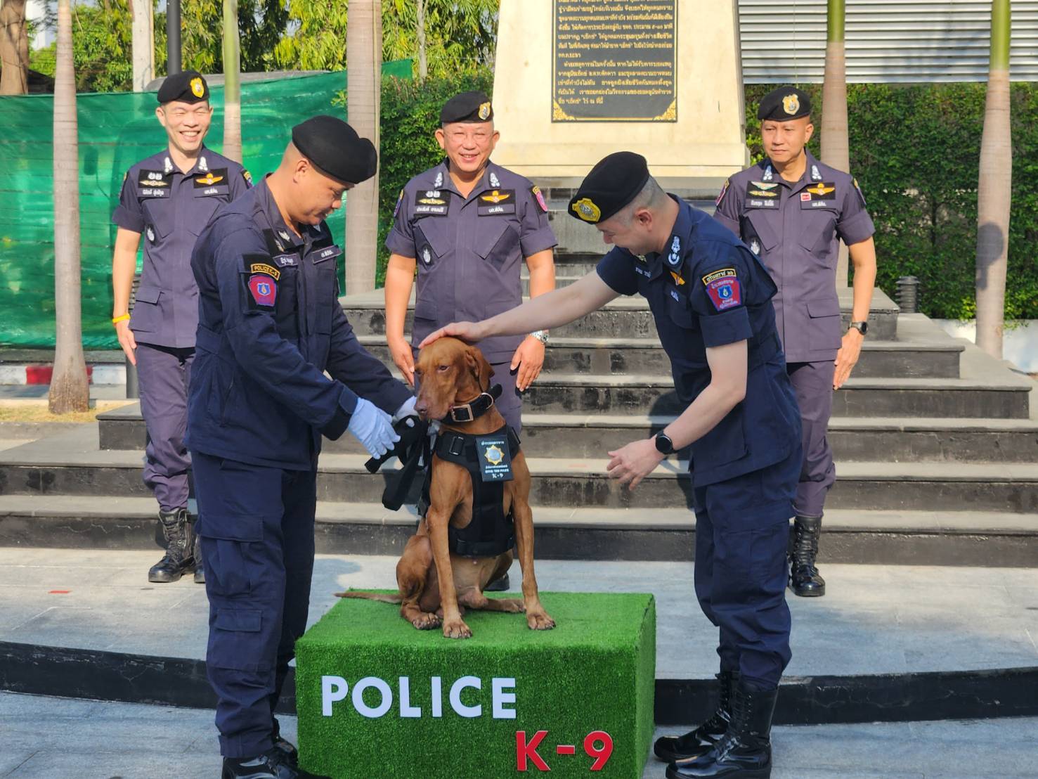 น้องทำดี! ติดยศตำรวจตรี “สุนัข K-9” คลี่คดีดัง“น้องชมพู-ไอซ์หีบเหล็ก”