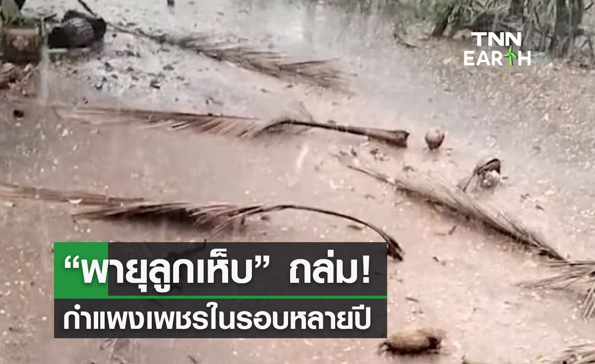 “พายุลูกเห็บ” ถล่มกำแพงเพชรในรอบหลายปี