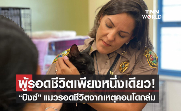 เหลือเชื่อ! แมวน้อยรอดชีวิตหนึ่งเดียวจากคอนโดถล่มในฟลอริดา