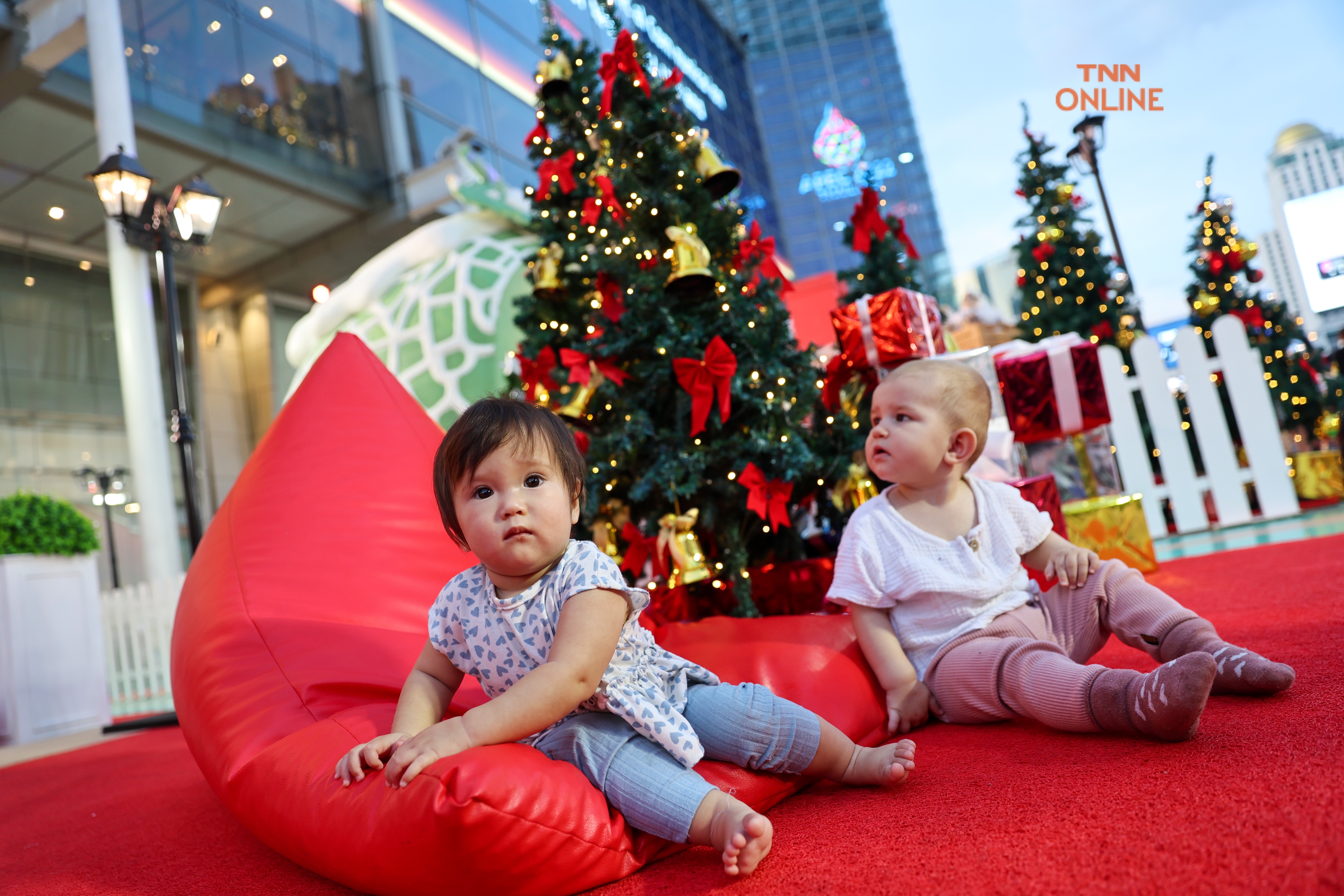 นับถอยหลังสู่เทศกาลคริสต์มาส เตรียมเปิดไฟต้นคริสต์มาสสุดยิ่งใหญ่