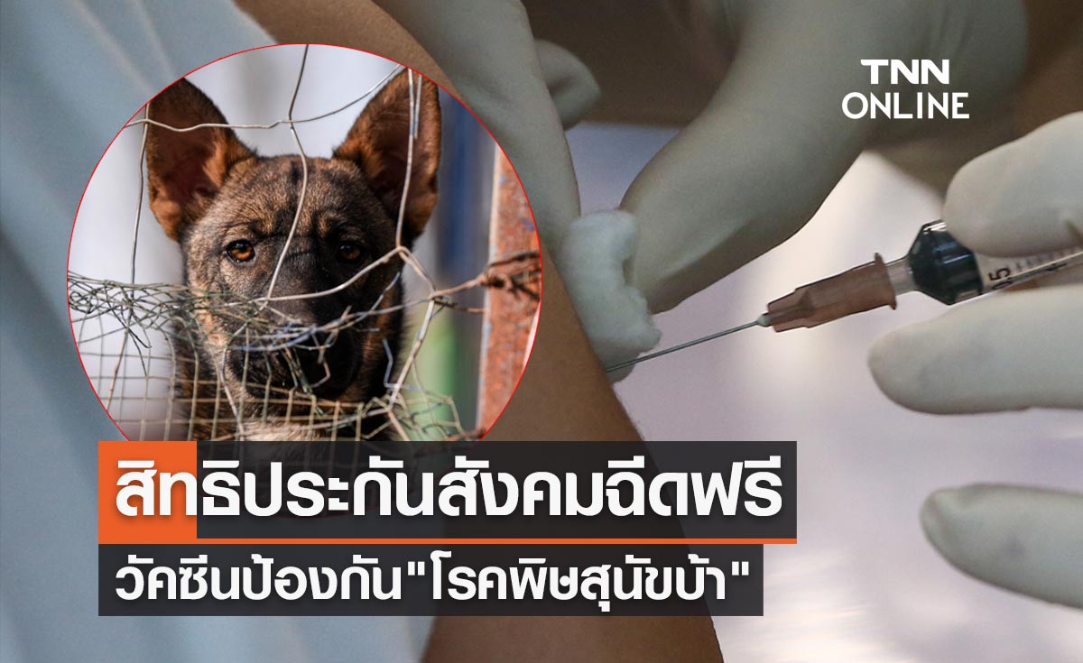 สิทธิประกันสังคม ฉีดวัคซีน "โรคพิษสุนัขบ้า" ฟรี เช็กรายละเอียดได้ที่นี่