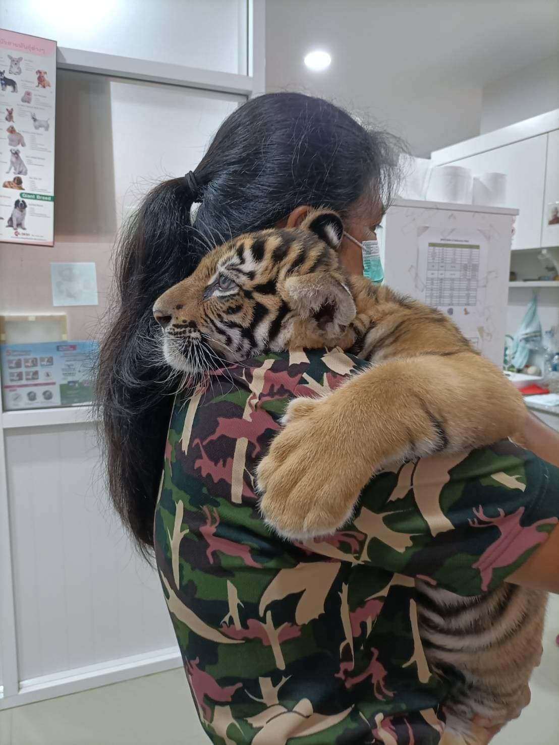 เผยภาพล่าสุด “น้องขวัญ” ขอหลับดีกว่าหลังถูกคุณหมอจิ้มก้น