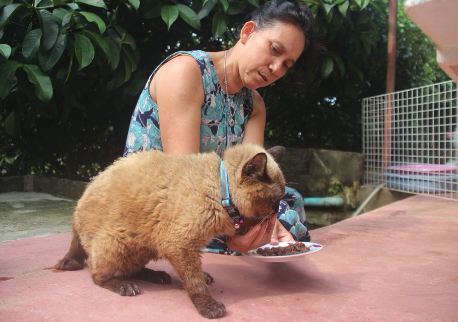 ฮือฮา! ‘ยายทวดแมว’ วัย 34 ขวบเทียบเท่าคนอายุ 160 ปี  คาด 'อายุเยอะที่สุดในโลก'