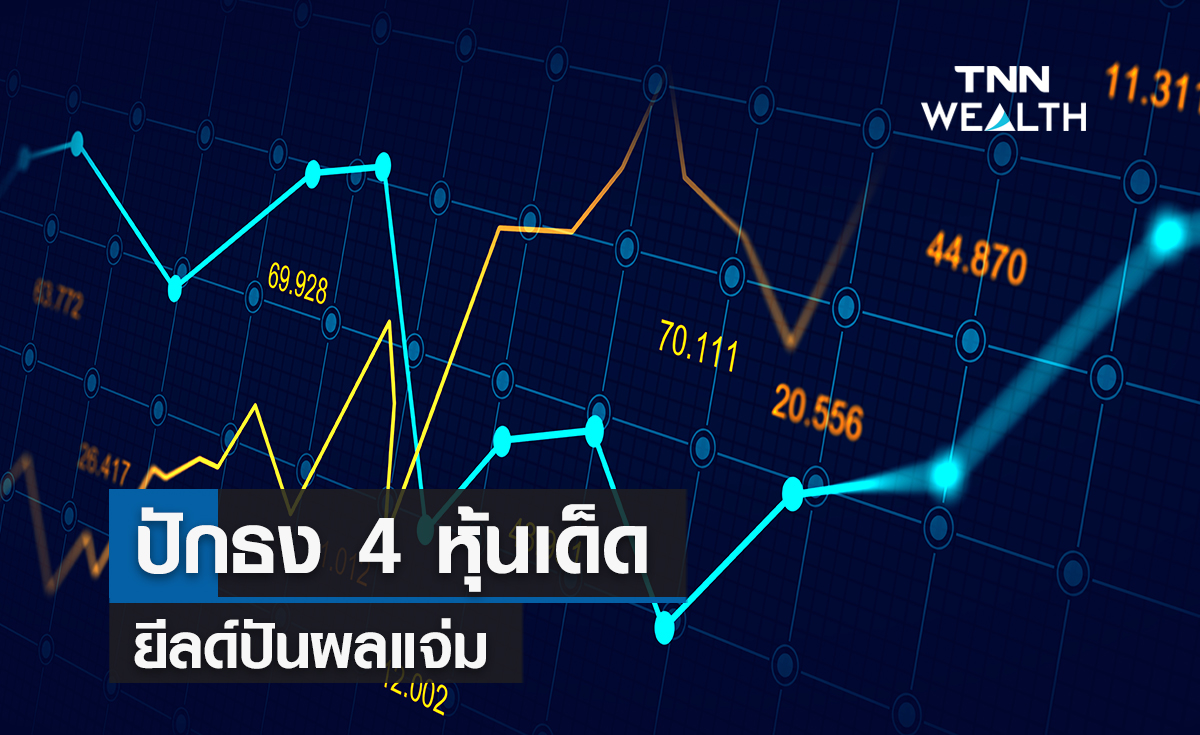 ปักธง 4 หุ้นเด็ด! ยีลด์ปันผลแจ่ม