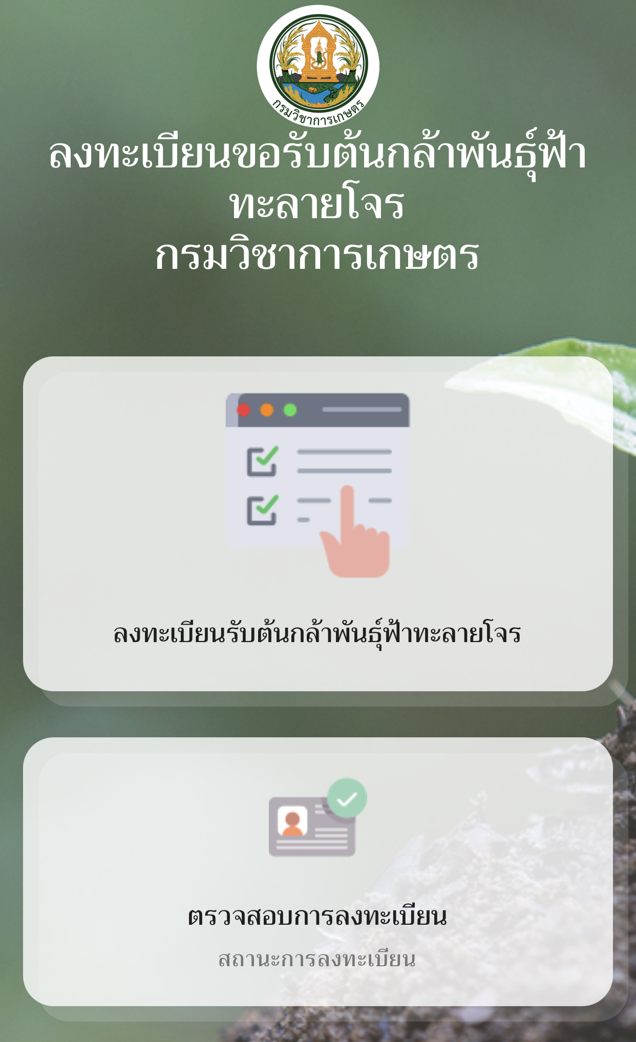 ลงทะเบียนรับฟ้าทะลายโจรฟรีที่นี่! จากกรมวิชาการเกษตร ลงทะเบียนรับฟ้าทะลายโจรฟรีที่นี่! จากกรมวิชาการเกษตร