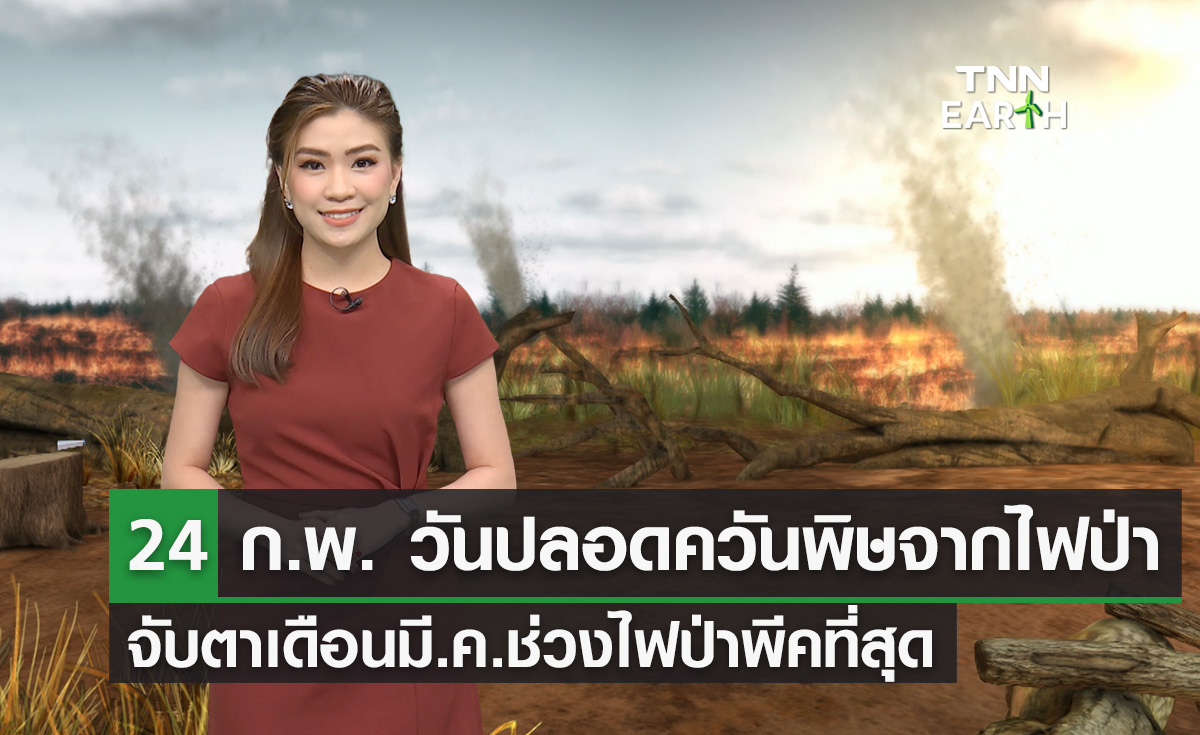 24 ก.พ.ของทุกปีวันปลอดควันพิษจากไฟป่า