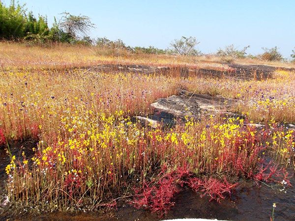 10 ที่เที่ยวมุกดาหาร 2565 ชมวิวริมฝั่งโขง เช็กอินธรรมชาติสุดฟิน 10 ที่เที่ยวมุกดาหาร 2565 ชมวิวริมฝั่งโขง เช็กอินธรรมชาติสุดฟิน