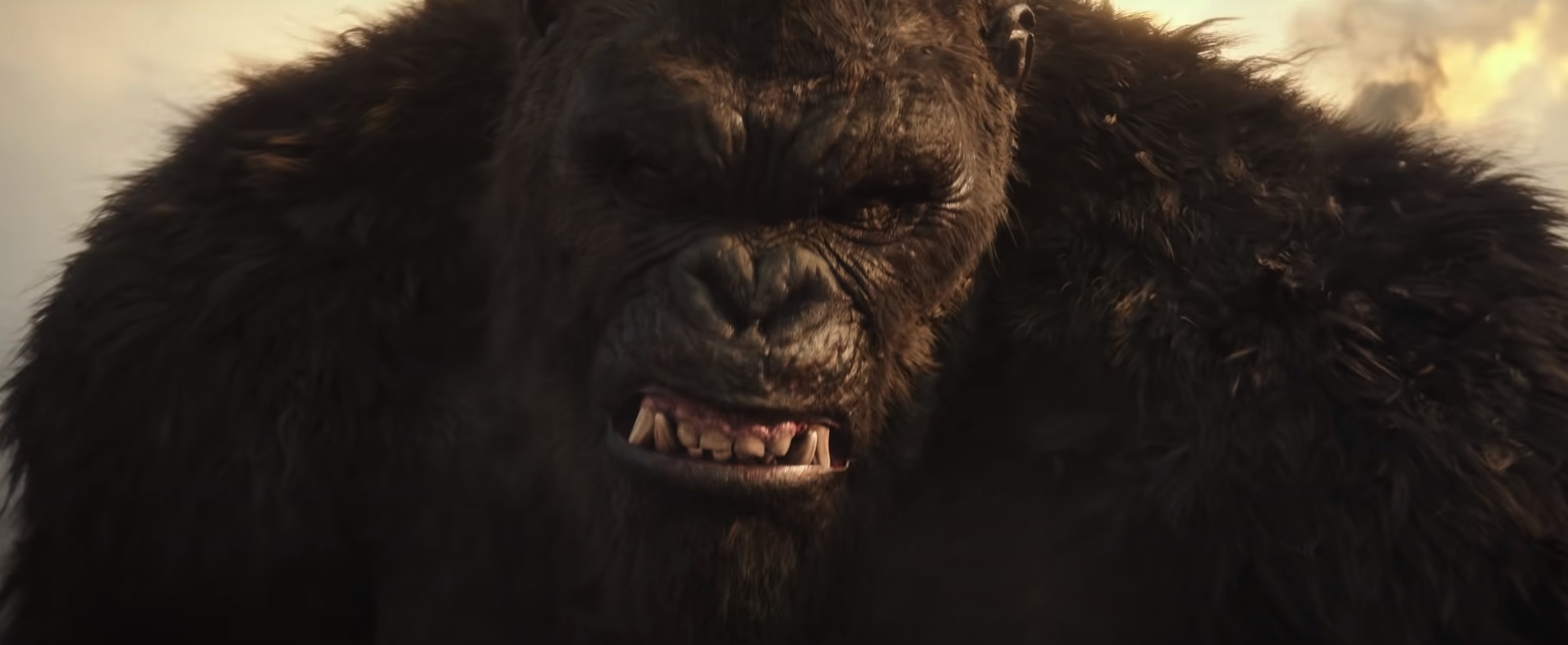 รัฐบาลออสเตรเลียหลุดพล็อตเรื่องภาคต่อ Godzilla Vs. Kong