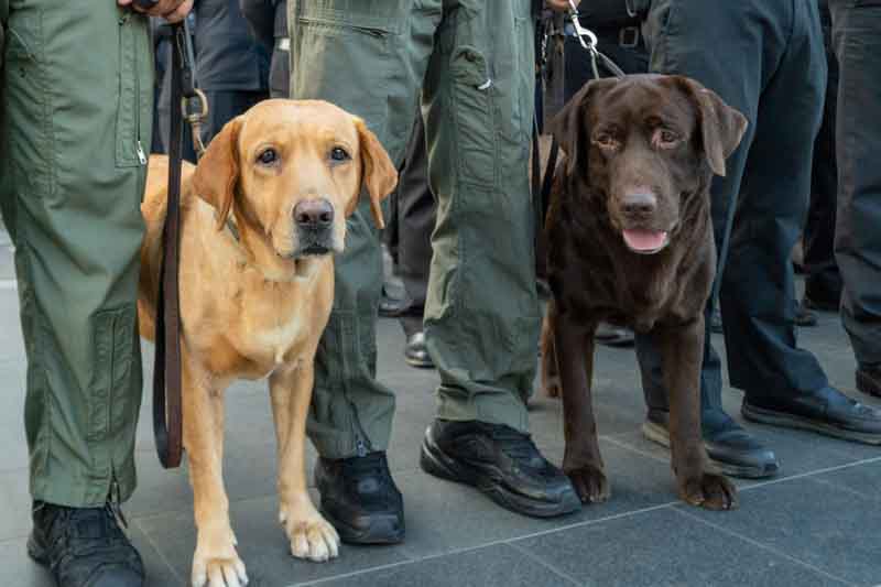 ไอคอนสยาม ผนึกกำลังพันธมิตรภาครัฐ เตรียมพร้อมกำลังพลปฏิบัติการด้านความปลอดภัย เพิ่มความเชื่อมั่น - พร้อมอำนวยความสะดวกนักท่องเที่ยว ต้อนรับงานเคานต์ดาวน์ระดับโลก Amazing Thailand Countdown 2025 ไอคอนสยาม ผนึกกำลังพันธมิตรภาครัฐ เตรียมพร้อมกำลังพลปฏิบัติการด้านความปลอดภัย เพิ่มความเชื่อมั่น - พร้อมอำนวยความสะดวกนักท่องเที่ยว ต้อนรับงานเคานต์ดาวน์ระดับโลก Amazing Thailand Countdown 2025