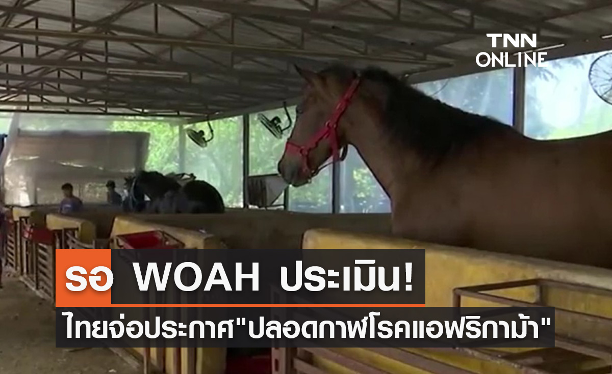 ลุ้น! ไทยจ่อประกาศ "ปลอดกาฬโรคแอฟริกาม้า" รอ WOAH ประเมิน