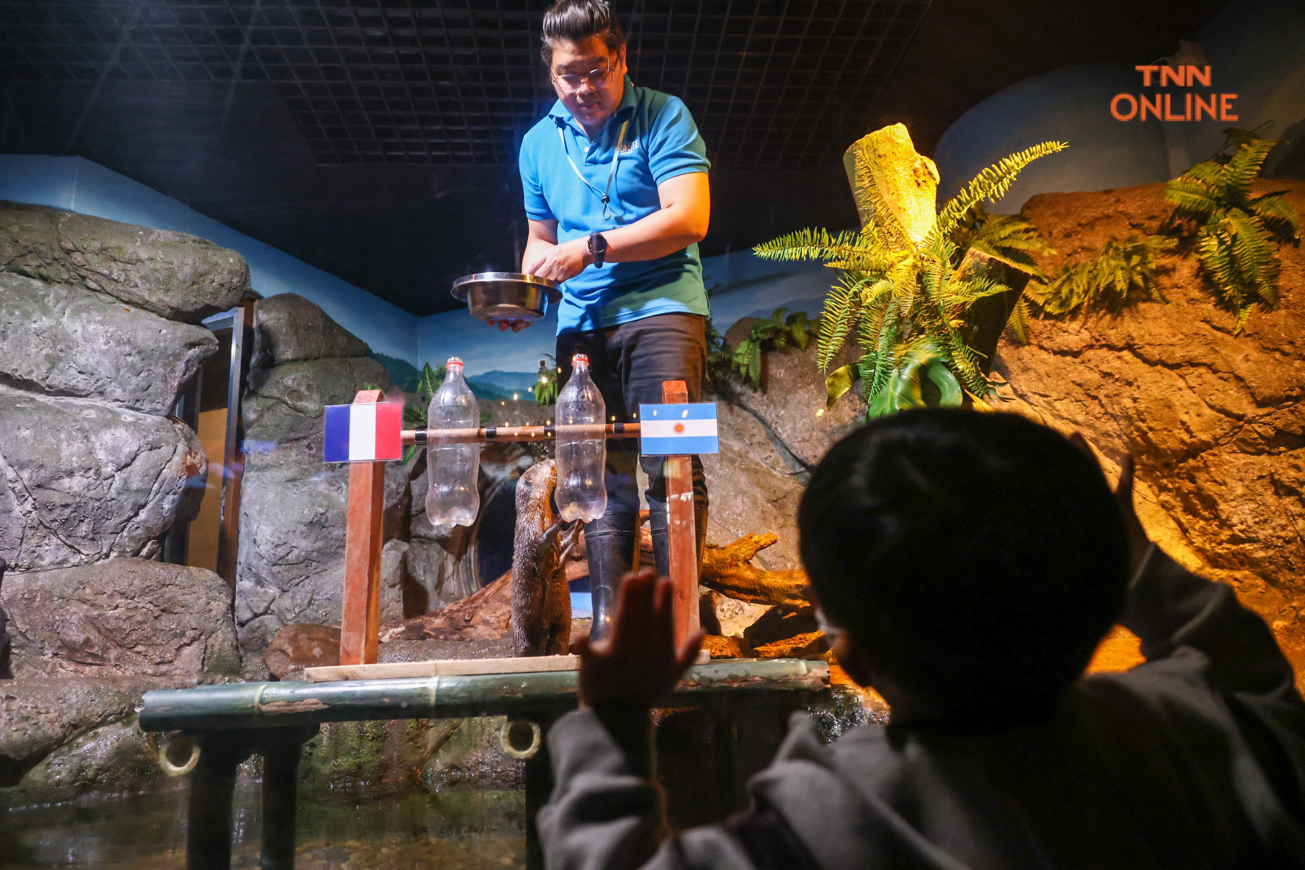 เสี่ยงทายแชมป์ฟุตบอลโลก 2022 ผ่านนากแสนรู้ชวนลุ้นนัดชิงไปด้วยกัน 18 ธ.ค. นี้ เสี่ยงทายแชมป์ฟุตบอลโลก 2022 ผ่านนากแสนรู้ชวนลุ้นนัดชิงไปด้วยกัน 18 ธ.ค. นี้