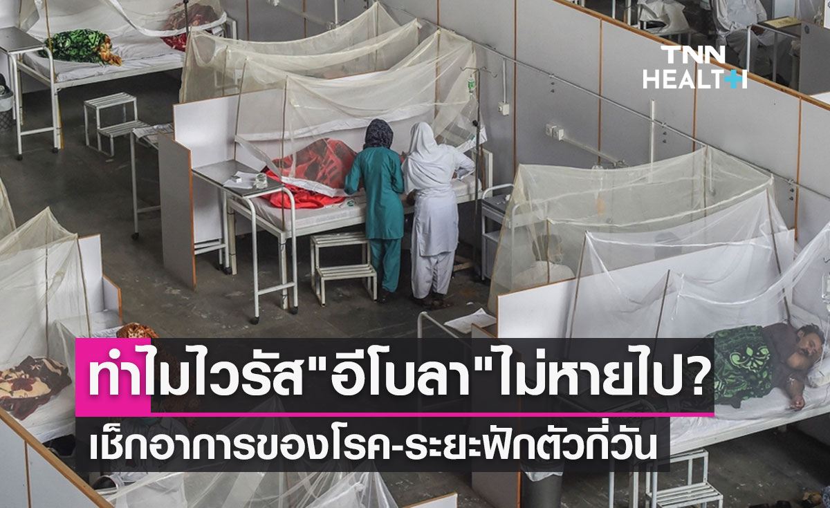 ทำไม"อีโบลา"ไม่หายไปจากธรรมชาติ? เช็กระยะฟักตัว-อาการของโรค