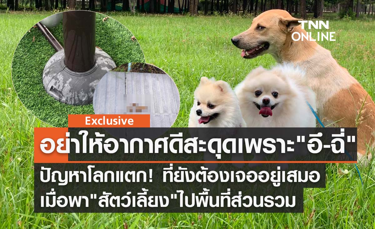 อย่าให้อากาศดีๆสะดุดเพราะ "อึ-ฉี่" ปัญหาที่แก้ไม่ตก เมื่อพา "สัตว์เลี้ยง" ไปพื้นที่ส่วนรวม