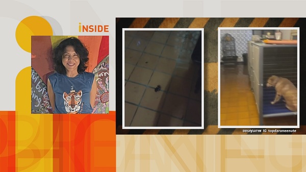 ฤทธิ์ฝนทำปวดหัว “ท็อป ดารณีนุช”กังวลวิกฤตน้ำท่วมบ้าน    (มีคลิป)