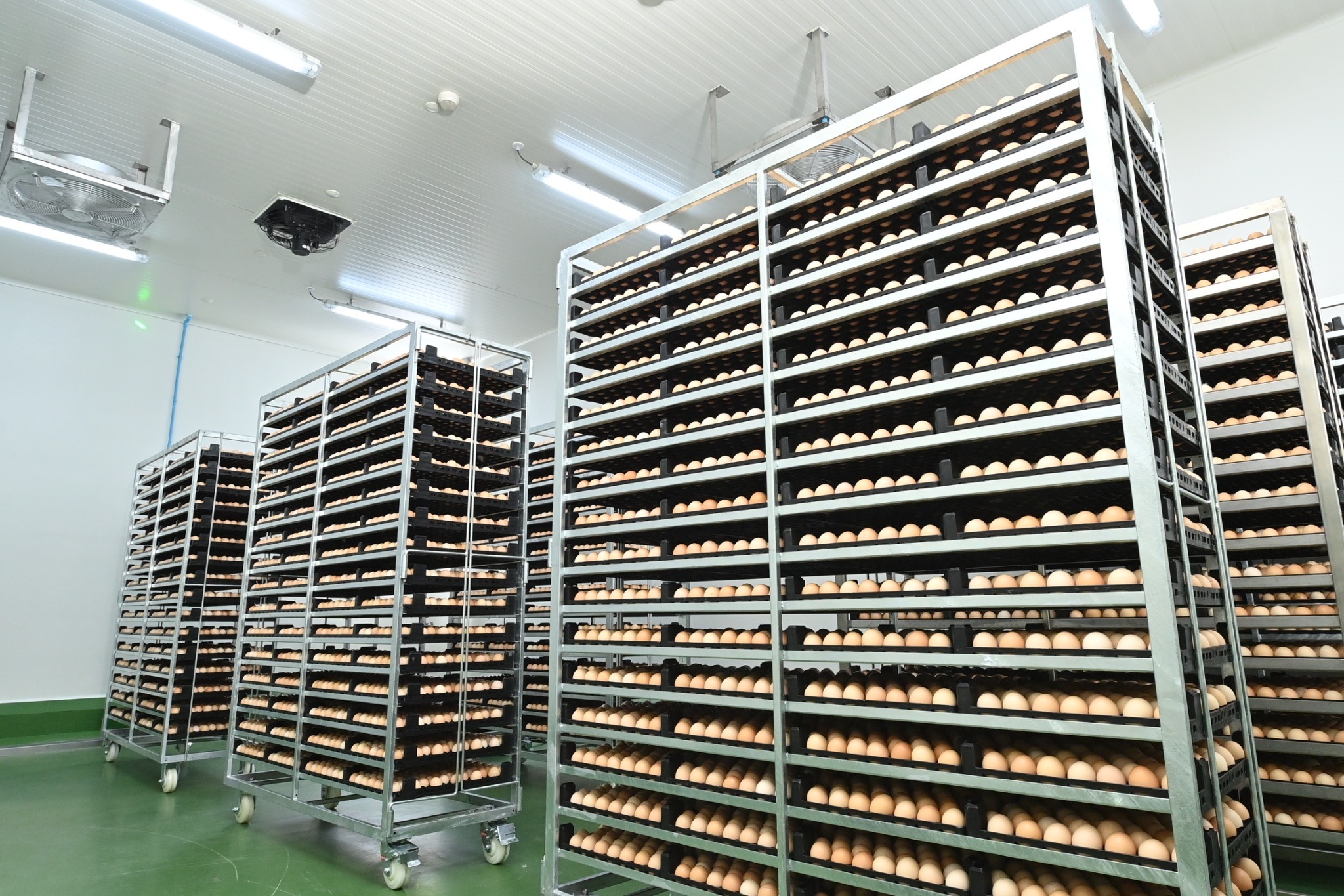 CPF เปิดโรงฟักแก่งคอย 2 จ.สระบุรี ชู Smart Hatchery เทคโนโลยีระดับโลก