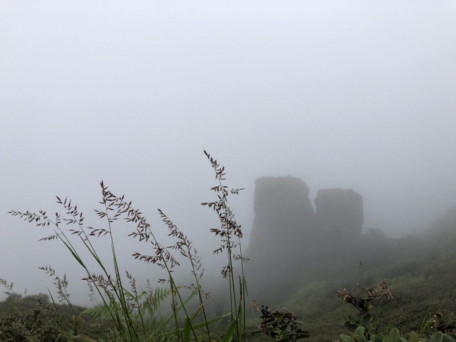 เที่ยวปลอดภัย ที่ดอยอินทนนท์  10 พ.ย.นี้ ภายใต้มาตรการเข้มคุมโควิด