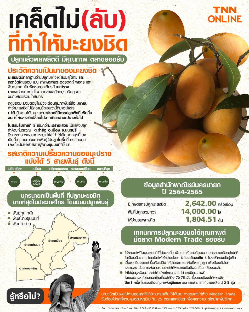 เคล็ดไม่(ลับ) ที่ทำให้มะยงชิด ปลูกแล้วผลผลิตดี ได้คุณภาพ มีตลาดรองรับ เคล็ดไม่(ลับ) ที่ทำให้มะยงชิด ปลูกแล้วผลผลิตดี ได้คุณภาพ มีตลาดรองรับ