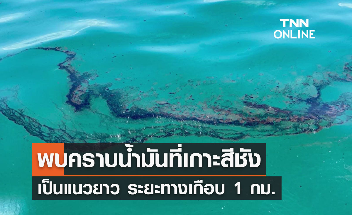 เร่งตรวจสอบ! พบ"คราบน้ำมัน"ลอยเกยชายฝั่งเกาะสีชัง ระยะทางเกือบ 1 กม.