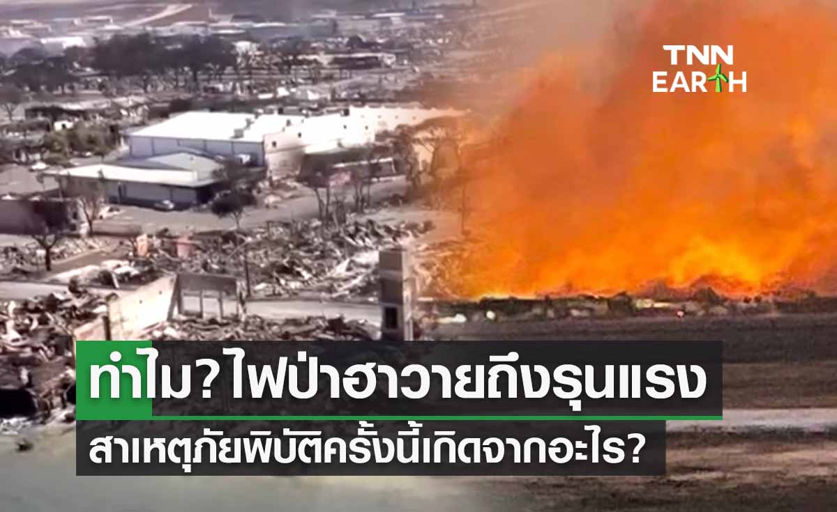 ทำไม? “ไฟป่าฮาวาย” ถึงรุนแรง เปิดสาเหตุภัยพิบัติครั้งนี้ เกิดจากอะไร? 