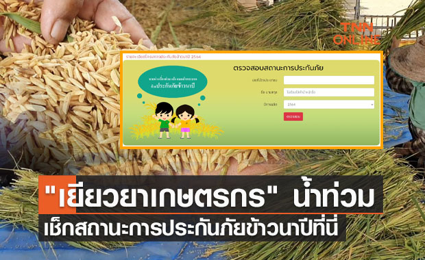 ตรวจสอบสถานะการประกันภัยข้าวนาปี ที่นี่! พร้อม "เยียวยาเกษตรกร" น้ำท่วม  