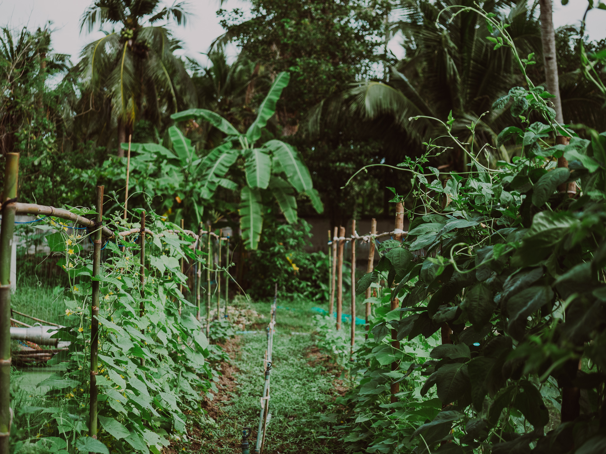 สัมผัสประสบการณ์ Everyone’s Wellness รับปีใหม่ก่อนใคร! ที่ RXV “รักษ วิลเลจ สามพราน” สัมผัสประสบการณ์ Everyone’s Wellness รับปีใหม่ก่อนใคร! ที่ RXV “รักษ วิลเลจ สามพราน”