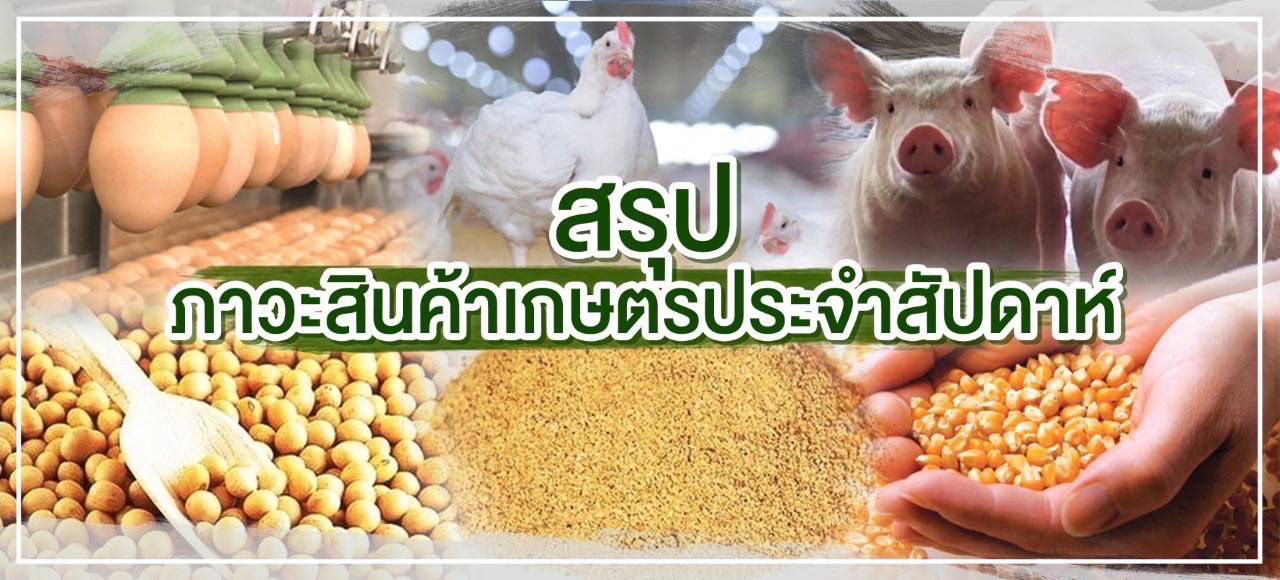 สรุปภาวะสินค้าเกษตรประจำสัปดาห์  วันที่ 21 - 25 พฤศจิกายน 2565