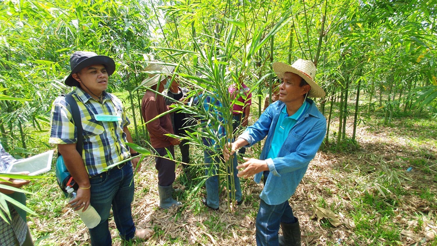 เครือซีพีดันโมเดลปุ๋ยชุมชน ‘ฮักน้ำยม’ ผ่านการรับรอง โครงการ Less จาก อบก. เครือซีพีดันโมเดลปุ๋ยชุมชน ‘ฮักน้ำยม’ ผ่านการรับรอง โครงการ Less จาก อบก.