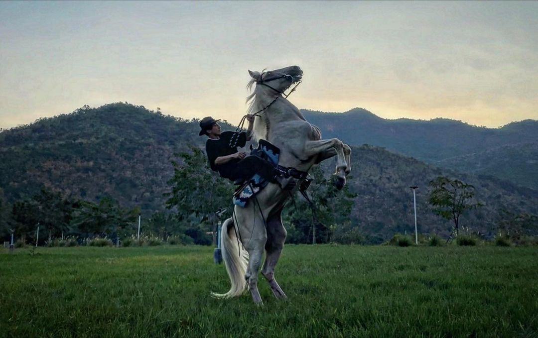 บทบาทใหม่ “โตโน่ ภาคิน” เป็นคุณครูสอนขี่ม้า (มีคลิป) 