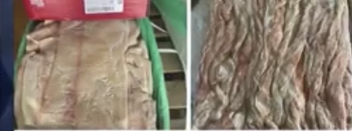 ย้อนรอย “หมูเถื่อน” ย่องเข้าไทย หวังฟันกำไรบนความทุกข์ยากของคนไทย