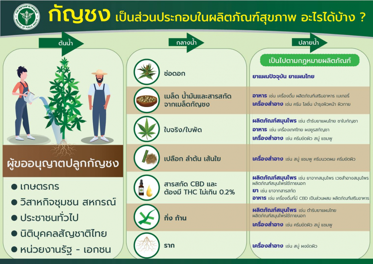 เปิดวิธีขออนุญาตปลูก กัญชง ไม่ยุ่งยาก เตือนระวังนายหน้าหลอกรับซื้อผลผลิต เปิดวิธีขออนุญาตปลูก กัญชง ไม่ยุ่งยาก เตือนระวังนายหน้าหลอกรับซื้อผลผลิต