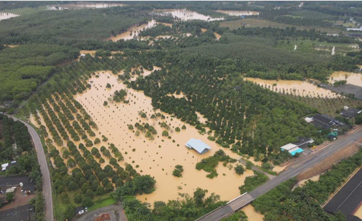 มวลน้ำจากต.สะตอ ไหลท่วมเขาสมิงแล้ว มวลน้ำจากต.สะตอ ไหลท่วมเขาสมิงแล้ว