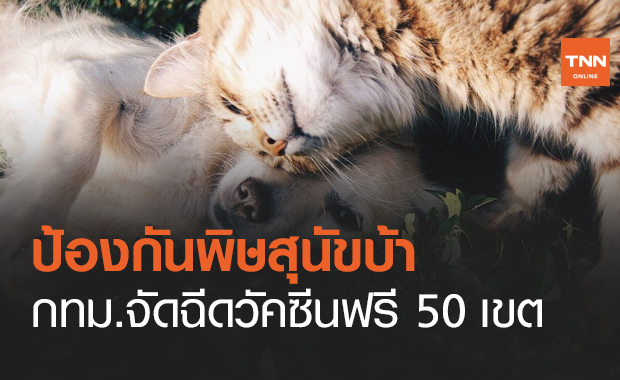 กทม.จัดบริการฉีดวัคซีนป้องกัน "พิษสุนัขบ้า" ฟรี 50 เขต