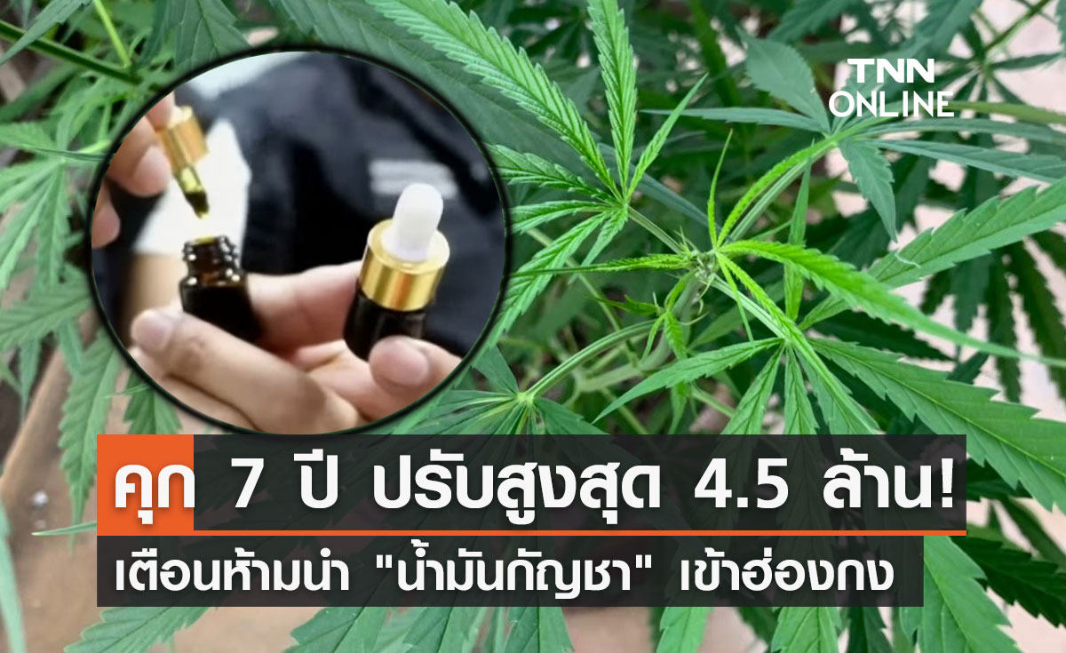 เตือนคนไทย! ห้ามนำ "น้ำมันกัญชา" เข้าฮ่องกง ฝ่าฝืนปรับสูงสุด 4.5 ล้าน