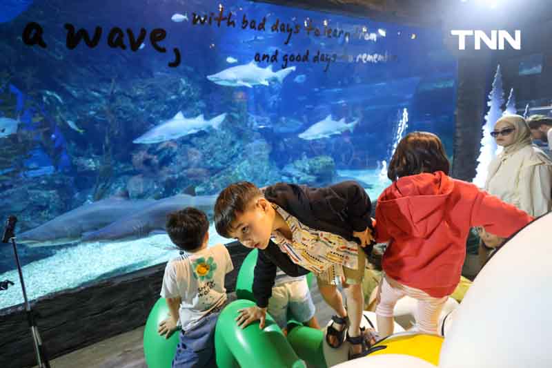 ซานต้าให้อาหารฉลาม ร่วมต้อนรับเทศกาล “คริสต์มาส” ซานต้าให้อาหารฉลาม ร่วมต้อนรับเทศกาล “คริสต์มาส”