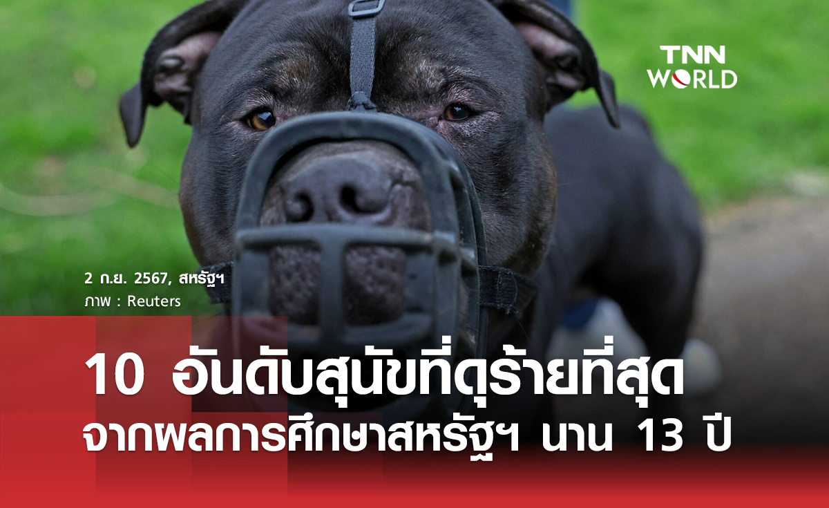 10 อันดับสุนัขที่ดุร้ายที่สุดจากผลการศึกษาสหรัฐฯ นาน 13 ปี