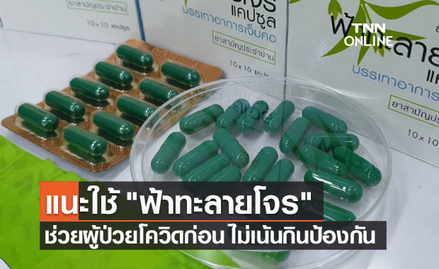วิทยาลัยสมุนไพรฯ แนะใช้ "ฟ้าทะลายโจร" ช่วยผู้ป่วยก่อน ไม่เน้นกินป้องกัน