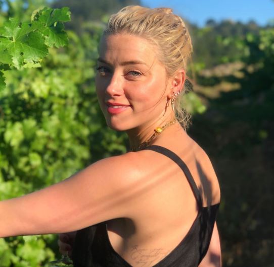 เปิดประวัติ แอมเบอร์ เฮิร์ด อดีตหวานใจ จอห์นนี เดปป์