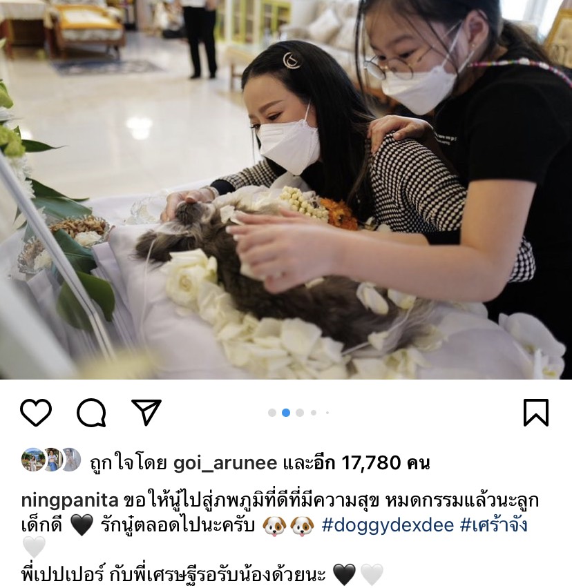 หนิง ปณิตา เศร้าเสียน้องหมาสุดรักด้วยโรคสู้มะเร็ง-หัวใจ