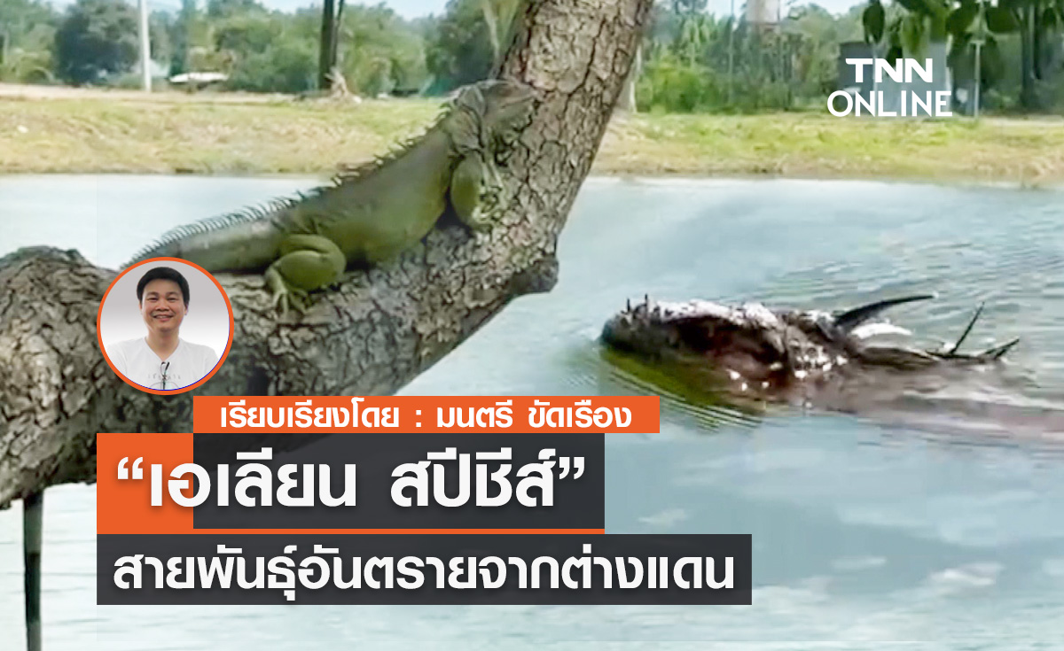 “เอเลียน สปีชีส์”  สายพันธุ์อันตรายจากต่างแดน         